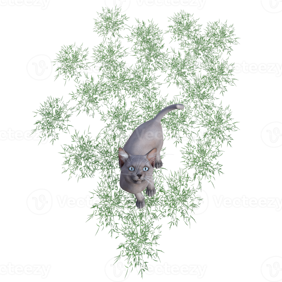 chat avec de l'herbe verte png