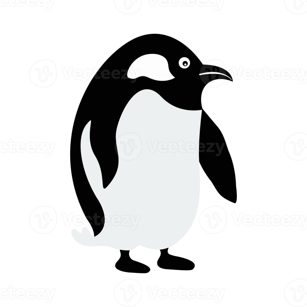 penguin cartoon isolated on transparency background png