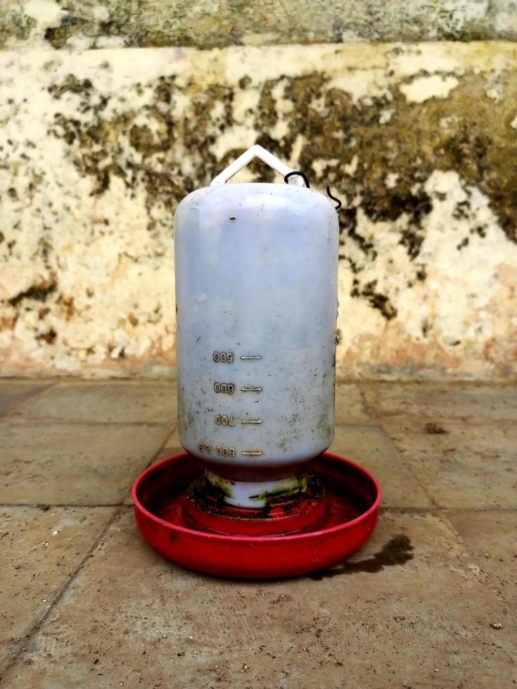 chicken tray for feeding or drink photo