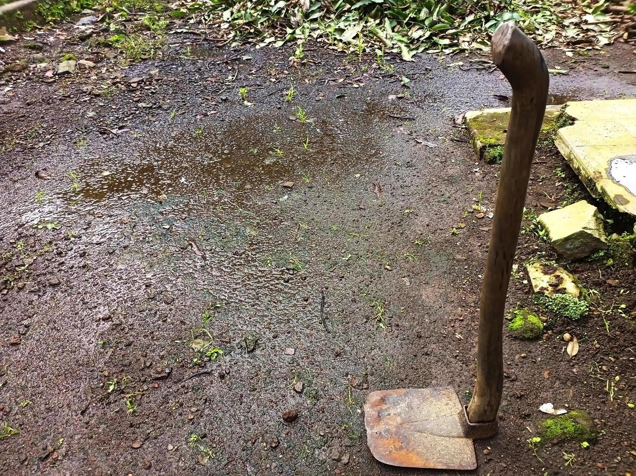 Farmer's old hoe lying on the ground photo