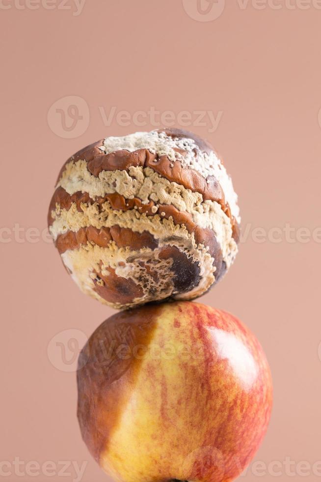 manzana con moho y manzana fresca en el fondo - crecimiento de moho y concepto de deterioro de alimentos foto