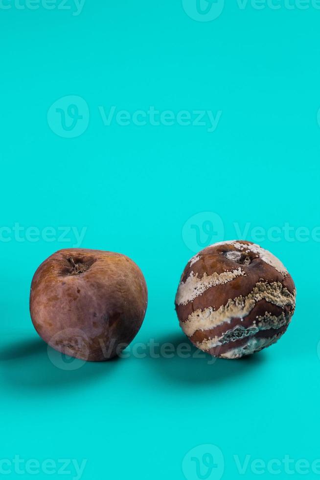 manzana con moho y manzana fresca sobre fondo de color turquesa banner vertical - crecimiento de moho y concepto de deterioro de alimentos foto
