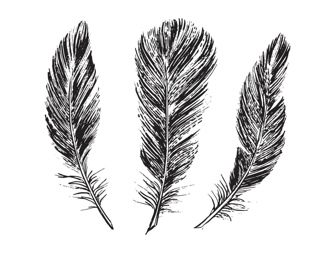 Feathers set on white background. Hand drawn sketch style. vector