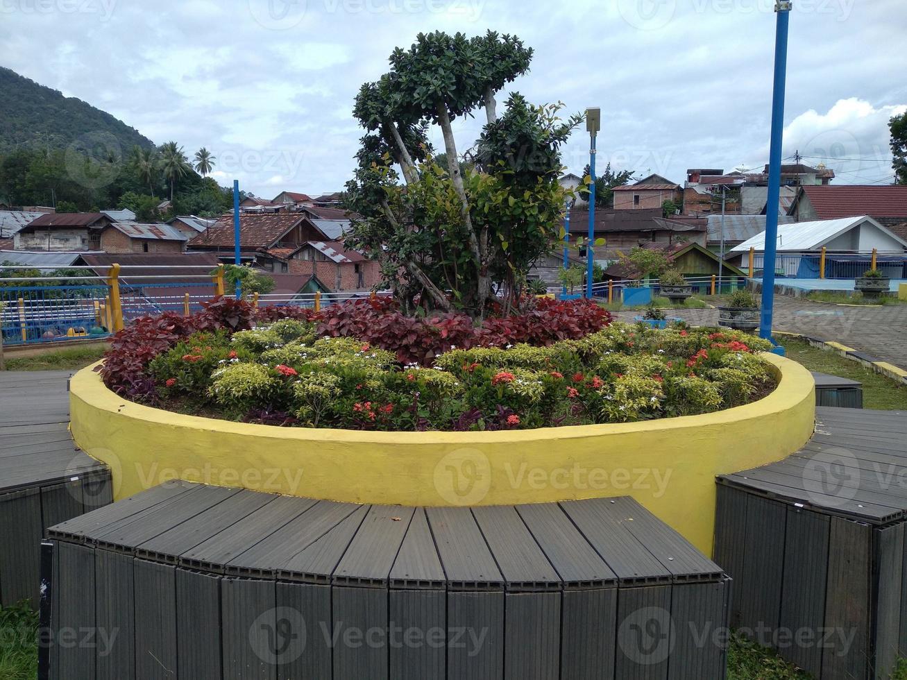 I took a picture of a small flower garden full of flowers on the side of the road in my city because it looks beautiful and there are houses with a blue sky photo
