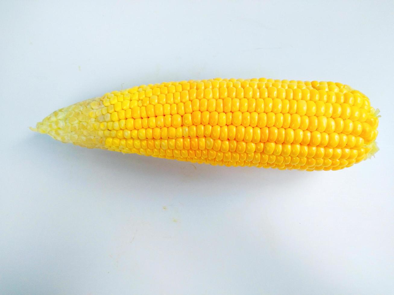 maíz aislado en un fondo blanco foto