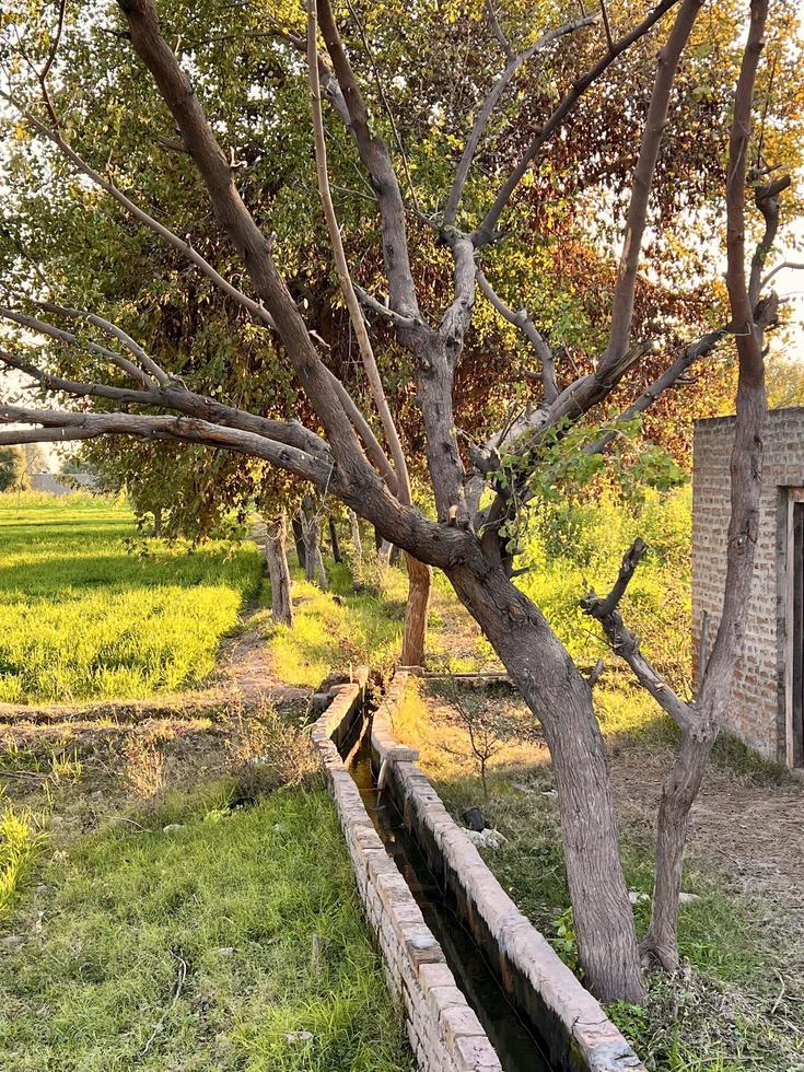 flujo de agua de riego desde la tubería hasta el canal para campos agrícolas foto