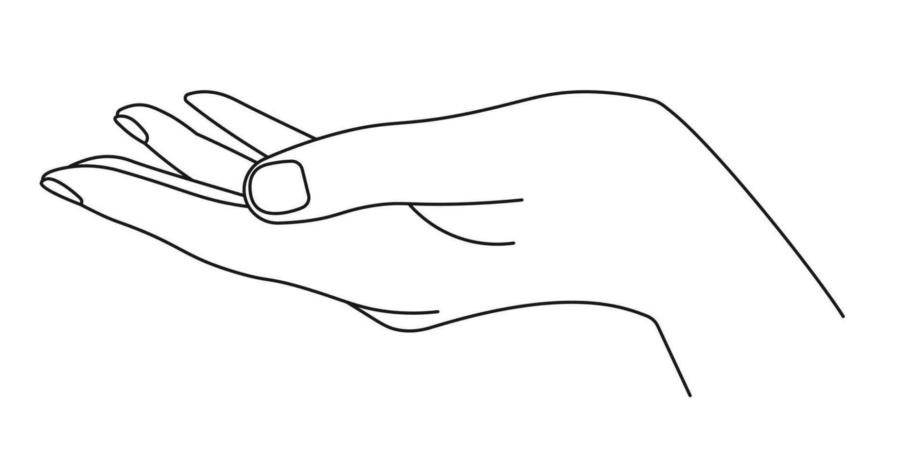 Hand taking or giving, palm with fingers line art vector