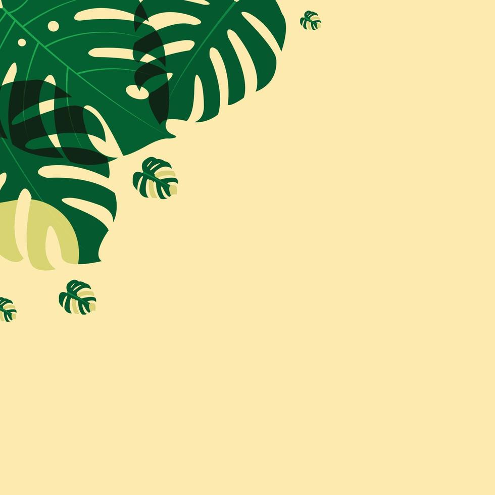 The design is trendy and exotic for the leaf monstera green of nature in the summer botanical jungle for the banner background, decoration, frame, and for illustration. vector