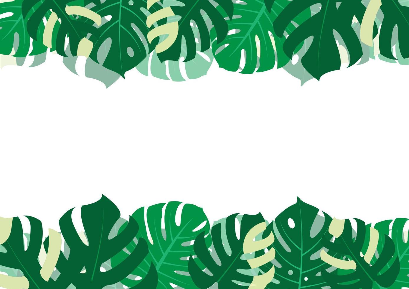 The design is trendy and exotic for the leaf monstera green of nature in the summer botanical jungle for the banner background, decoration, frame, and for illustration. vector