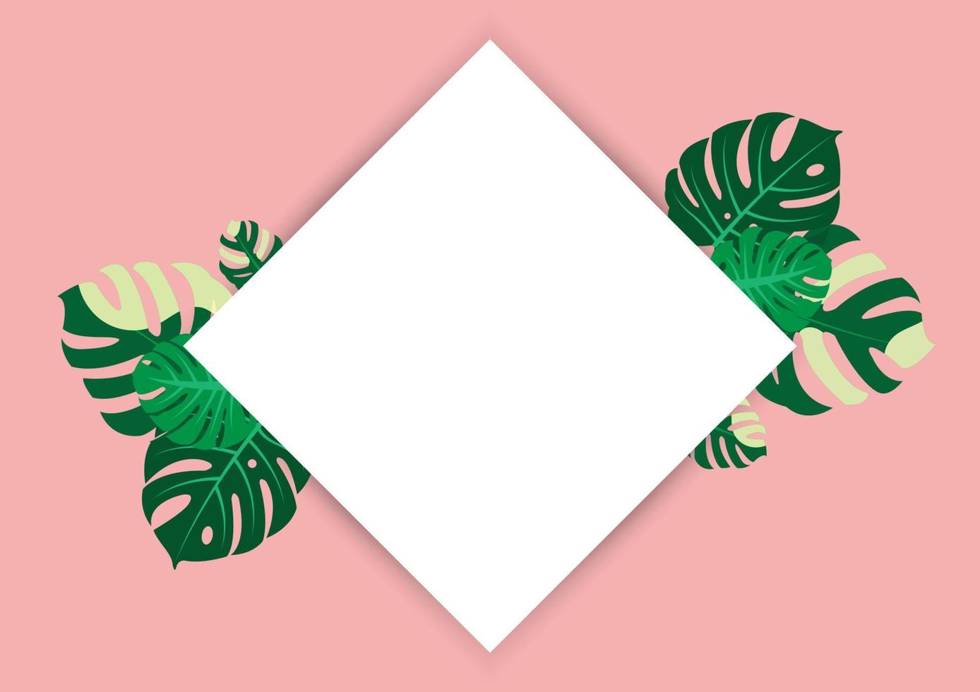 The design is trendy and exotic for the leaf monstera green of nature in the summer botanical jungle for the banner background, decoration, frame, and for illustration. vector