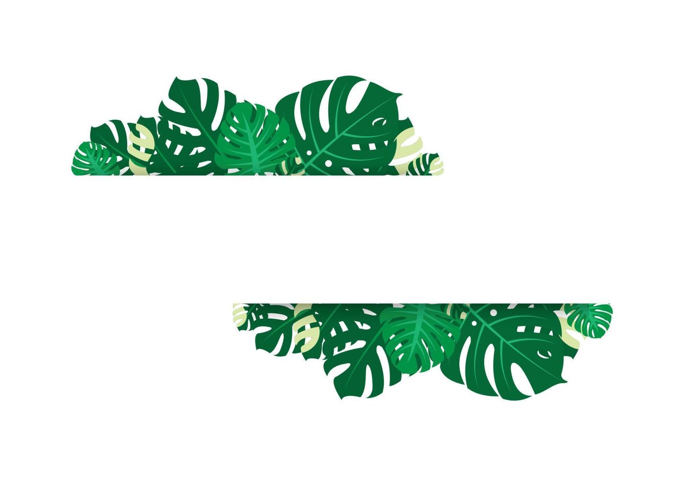 The design is trendy and exotic for the leaf monstera green of nature in the summer botanical jungle for the banner background, decoration, frame, and for illustration. vector