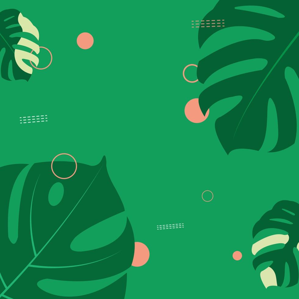 The design is trendy and exotic for the leaf monstera green of nature in the summer botanical jungle for the banner background, decoration, frame, and for illustration. vector