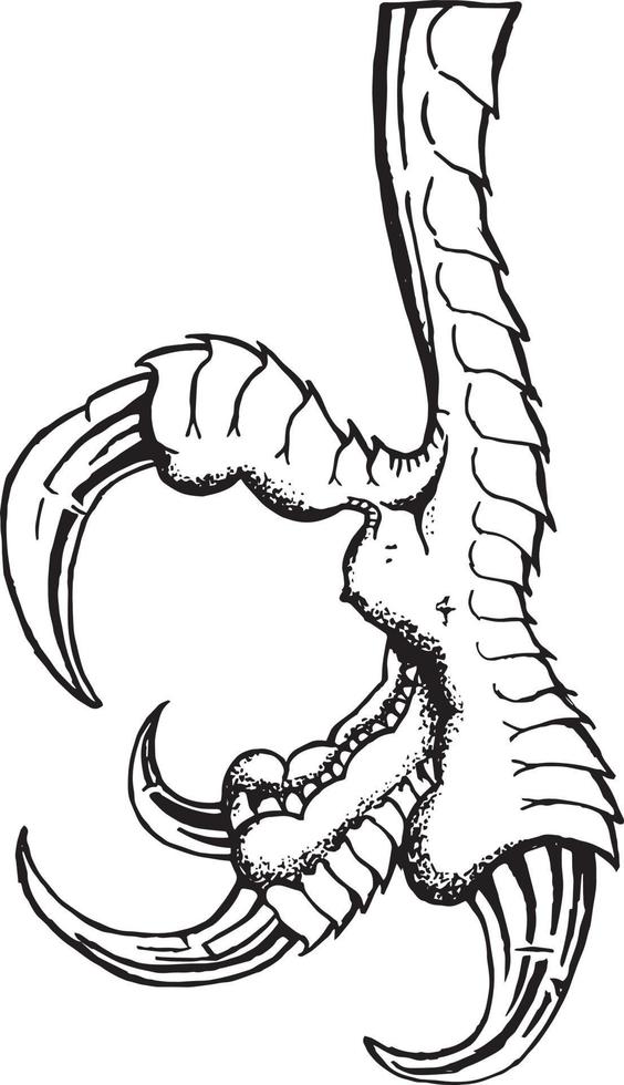 Carnivore Bird Claw Sketch vector