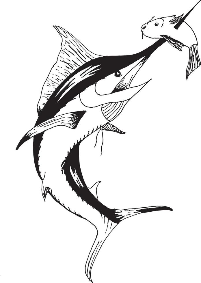 Jumping Marlin fish Illustration vector