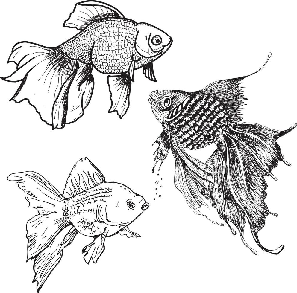 conjunto de ilustración de peces de colores vector