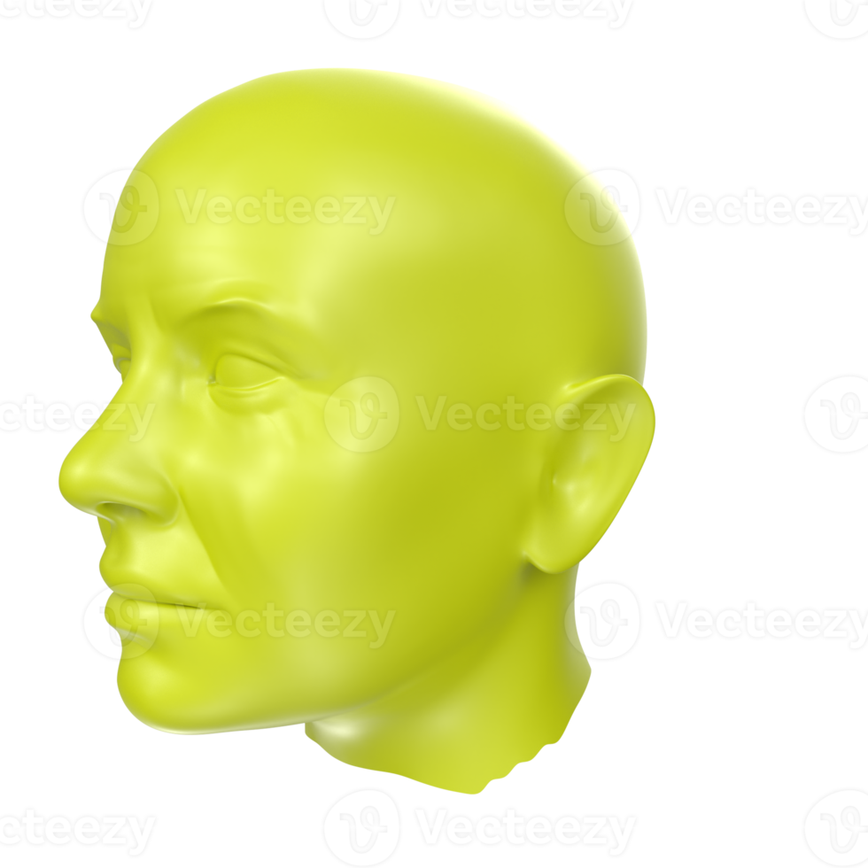 representación 3d del busto humano png