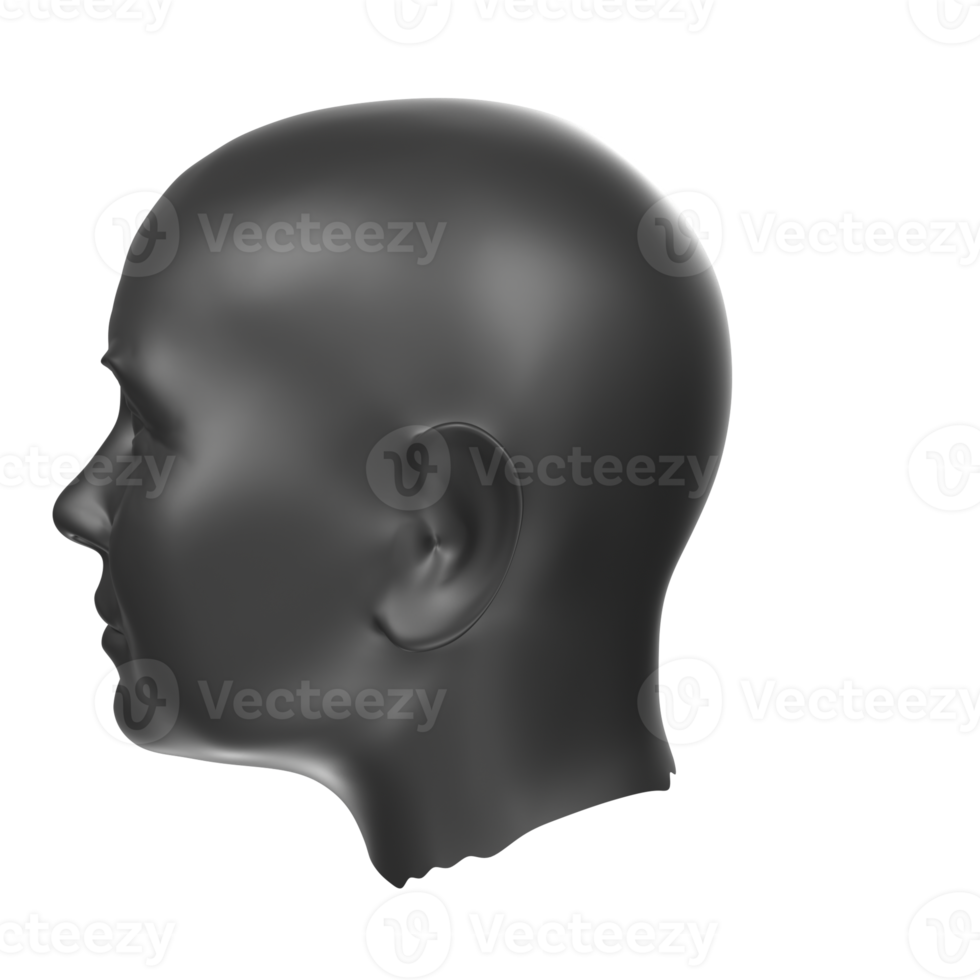 3D Rendering Of Human Bust png