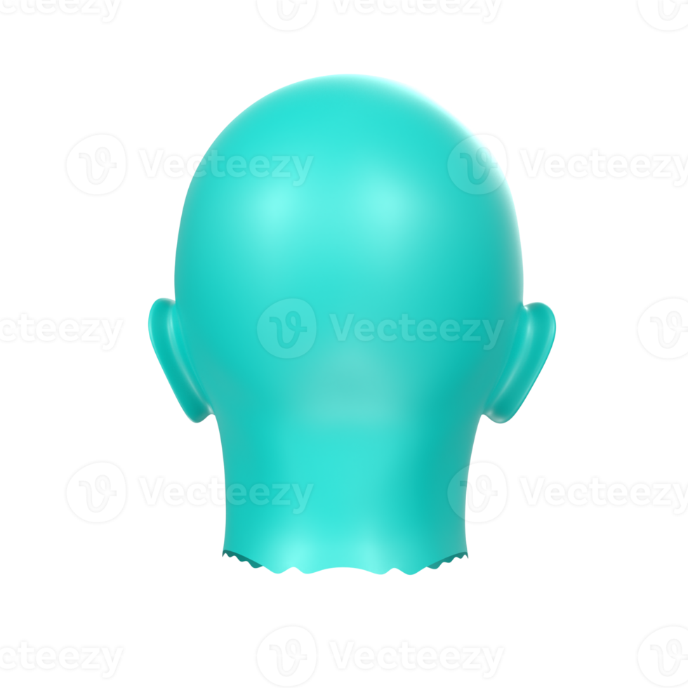 3D Rendering Of Human Bust png