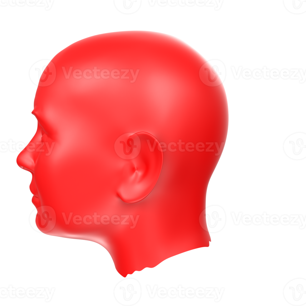 3D Rendering Of Human Bust png