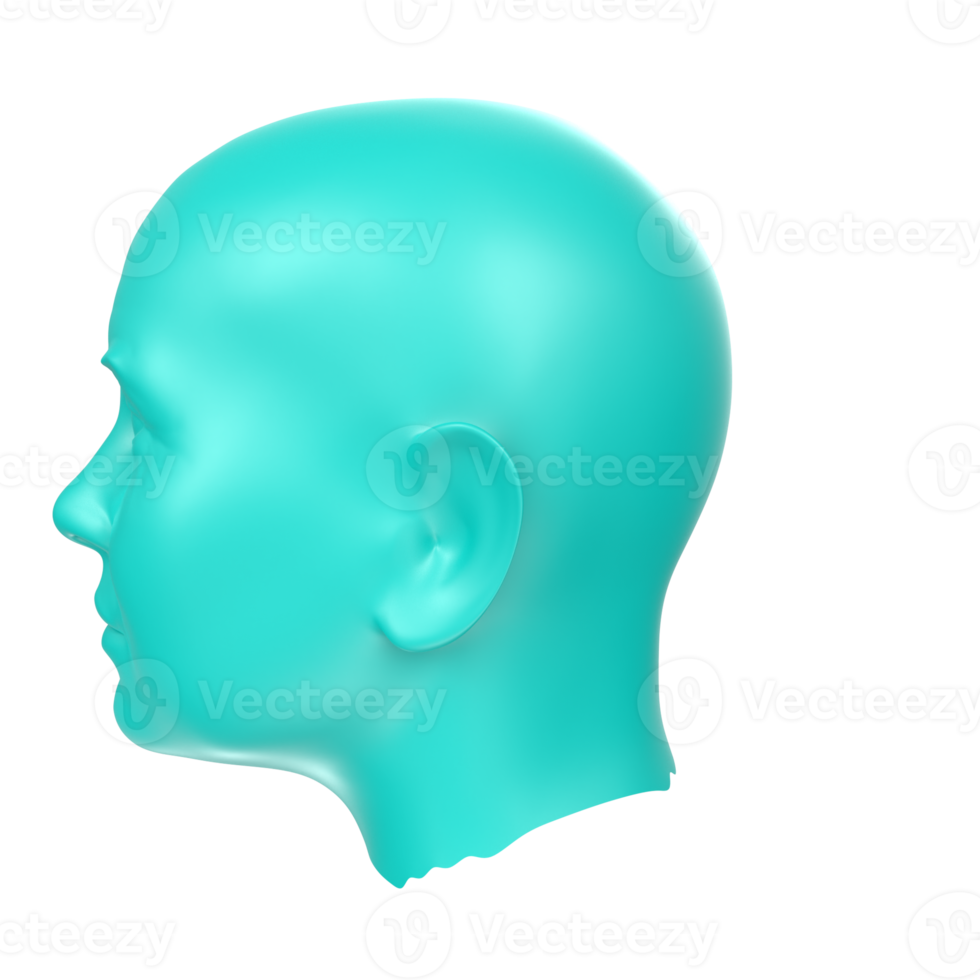 3D Rendering Of Human Bust png