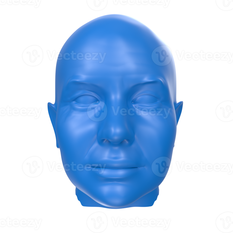 representación 3d del busto humano png