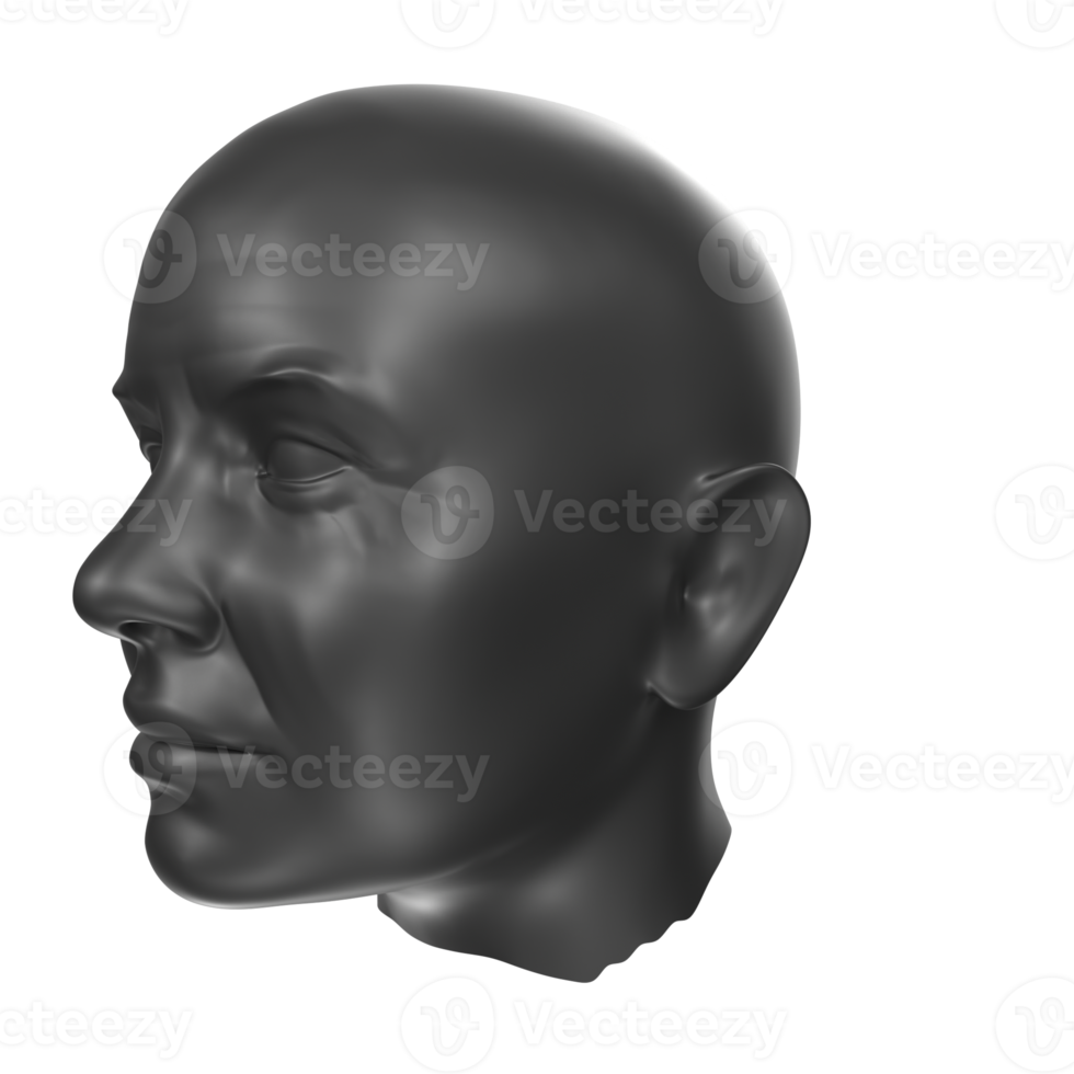 3D Rendering Of Human Bust png