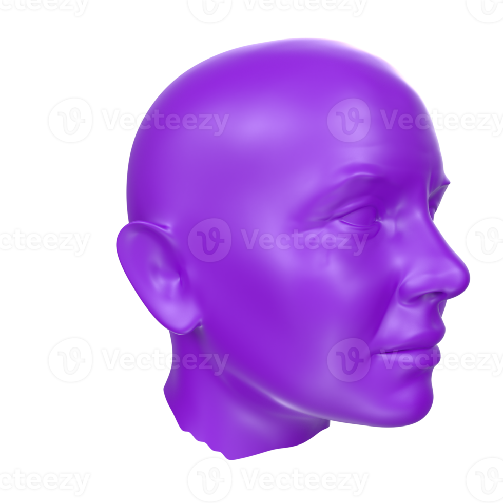 3D Rendering Of Human Bust png