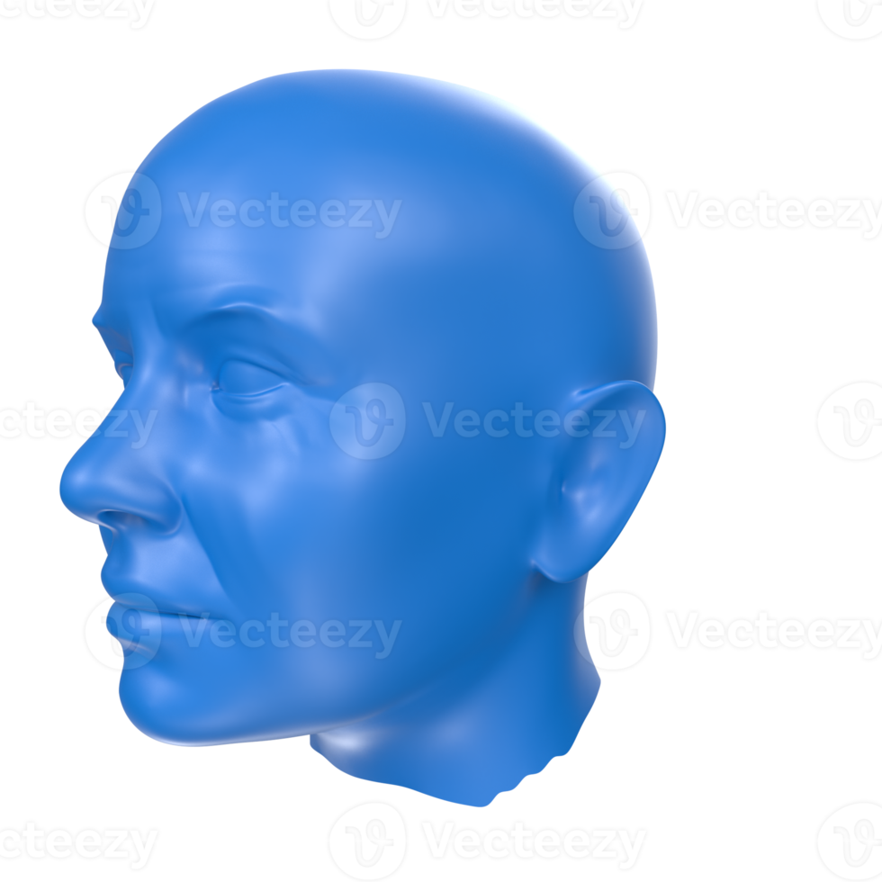 representación 3d del busto humano png