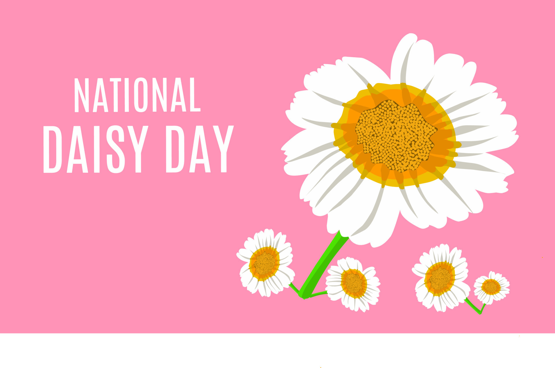 Vector graphic of national daisy day for national day celebration. flat