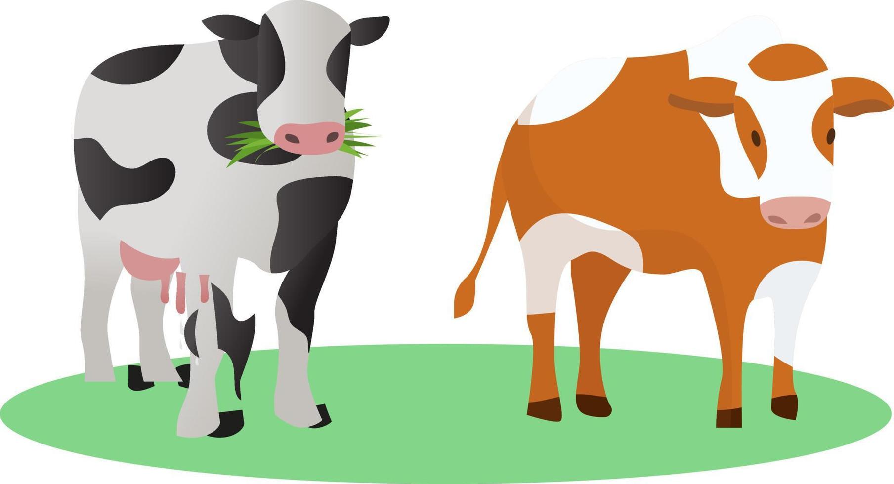 Set of various cute Cows. Black and white colors. Hand drawn colored trendy Vector illustrations