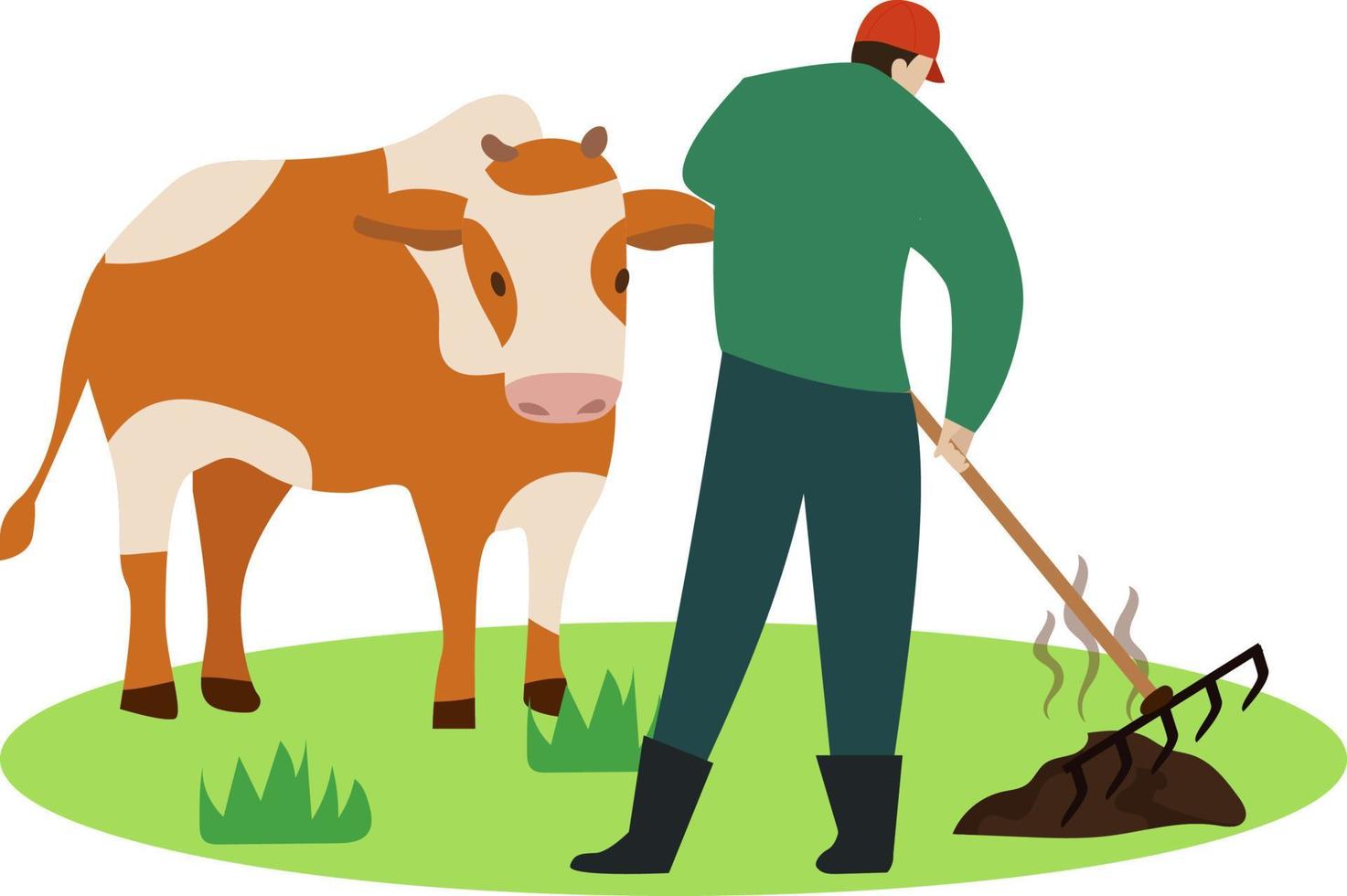 agricultor limpiando estiércol de vaca en la hierba, cagando vaca, cagando. estiércol de vaca, agricultor haciendo estiércol a partir de la ilustración del vector de estiércol de vaca, ilustración del concepto de ganado agricultor