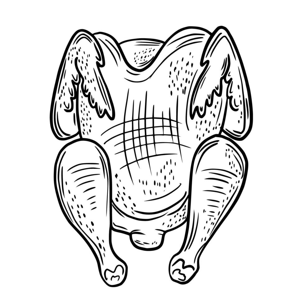 Vector drawing, sketch of poultry products. Chicken parts, leg. Poultry business. color sketch. Raw poultry meat