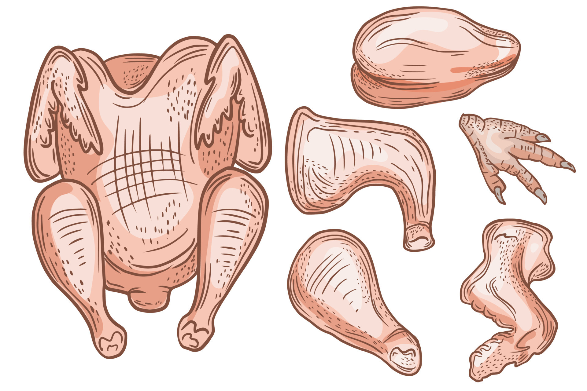 Chicken Poultry Products chicken-poultry-products
