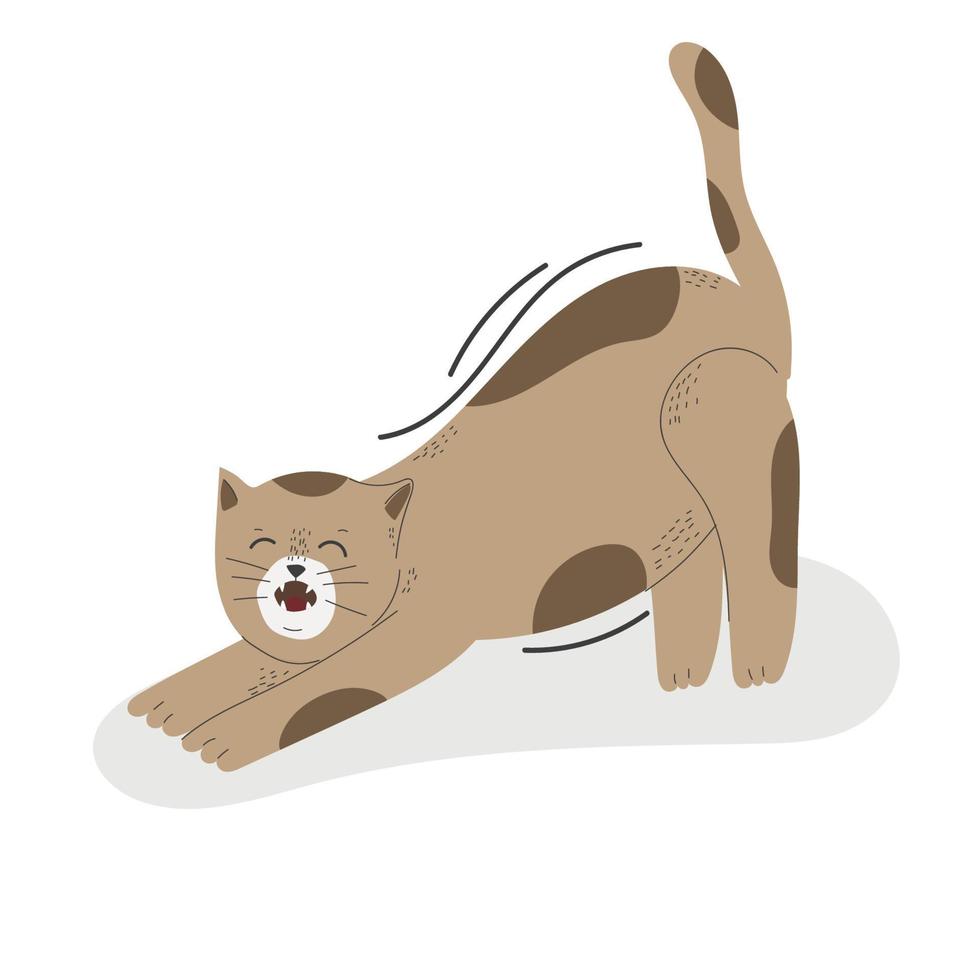 Cute cat in different poses isolated on white background in modern flat style. Animals. Vector illustration