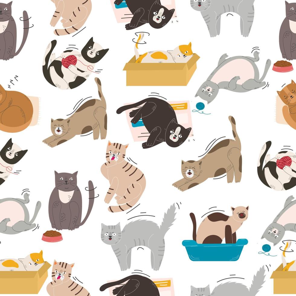 patrón impecable de gatos lindos en diferentes poses sobre un fondo blanco en un estilo moderno y plano. animales vector