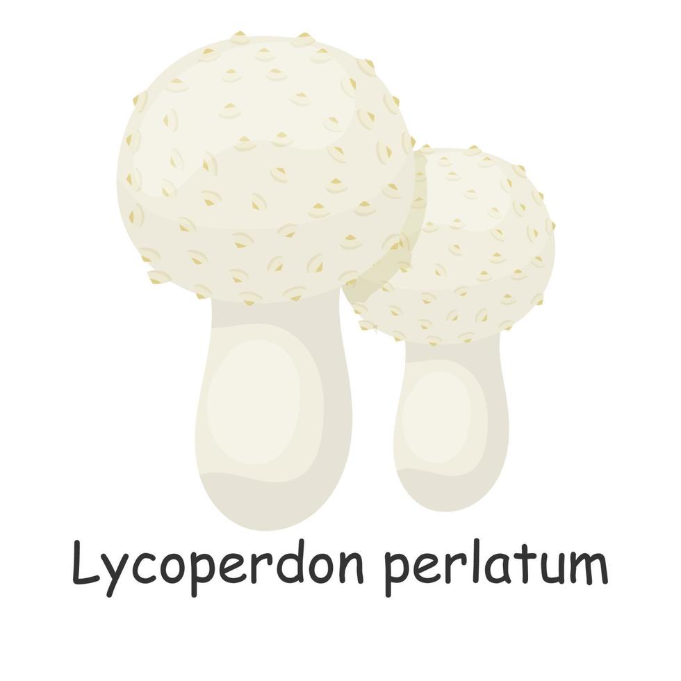 Lycoperdon perlatum. Mushroom. Isolated on white background. Forest. For your design. vector