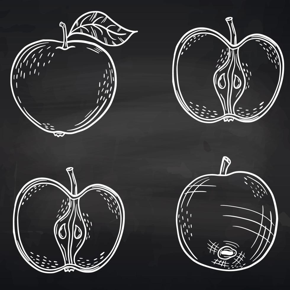 conjunto de manzanas en una pizarra. dibujo de tiza de frutas. dibujar manzanas. Dibujo a mano. icono. para su diseño. vector