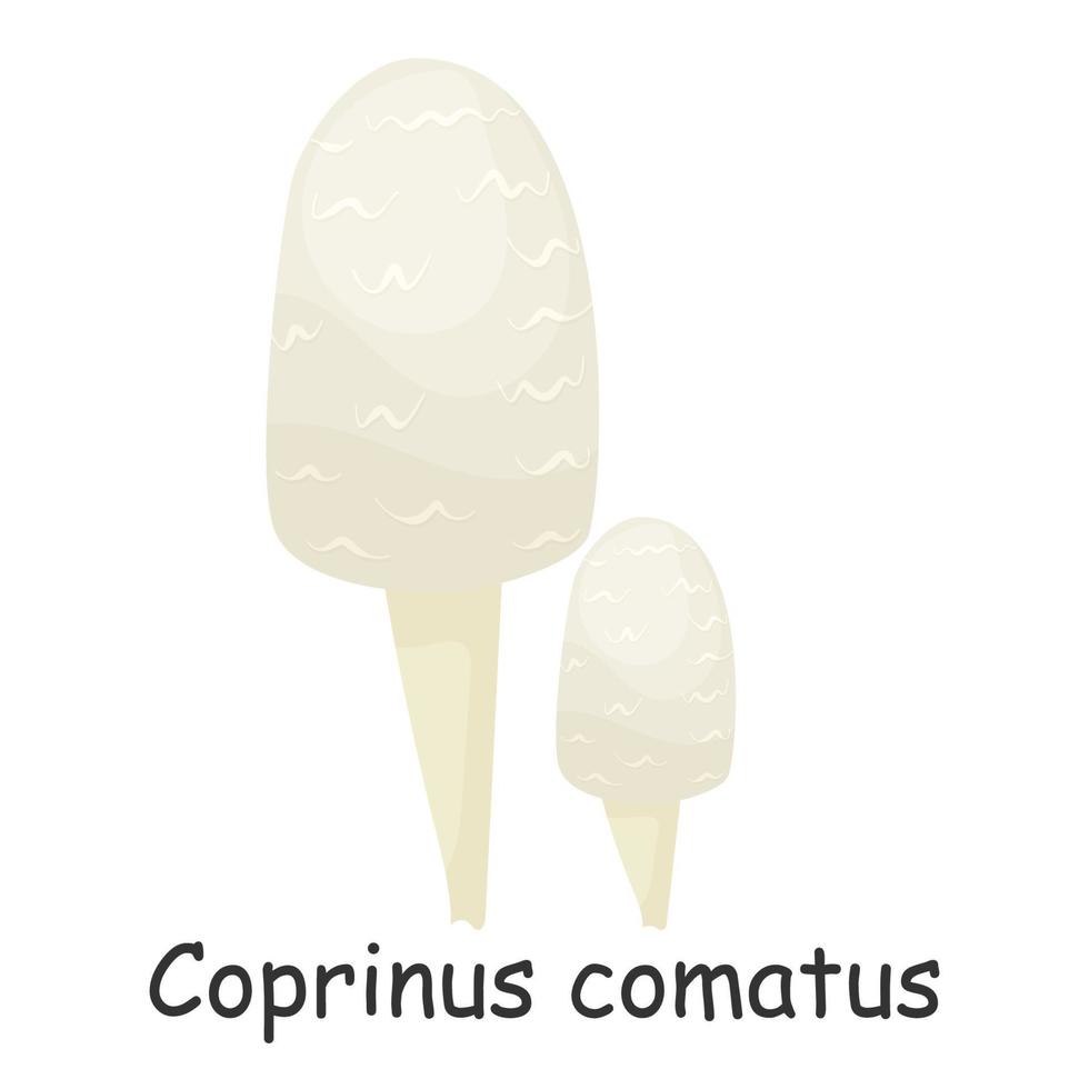 coprinus comatus. hongo. aislado sobre fondo blanco. bosque. para su diseño. vector