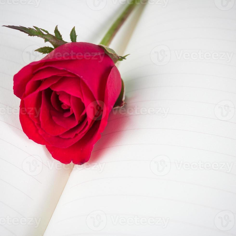 Red rose on notebook background photo