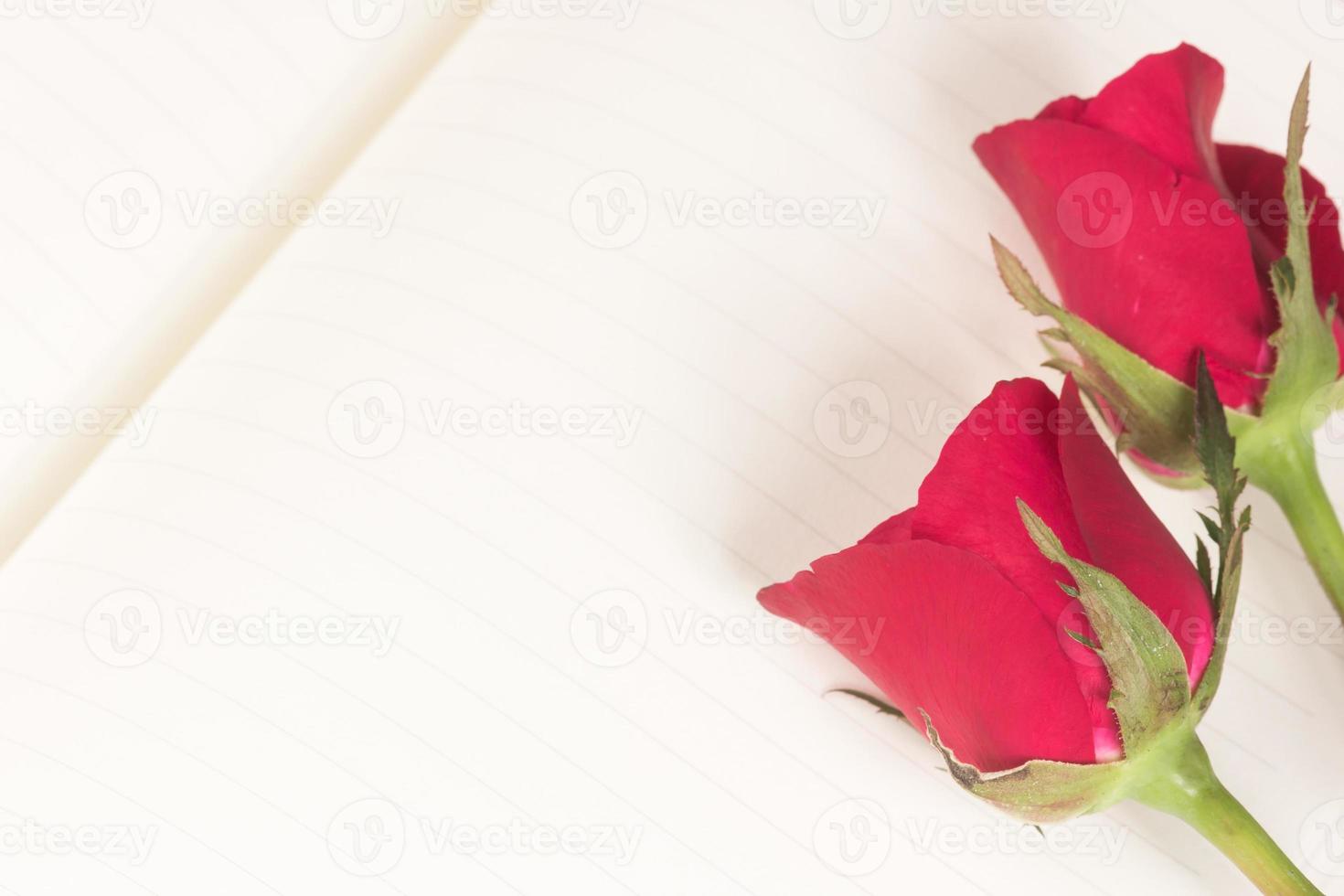 Red rose on notebook background photo