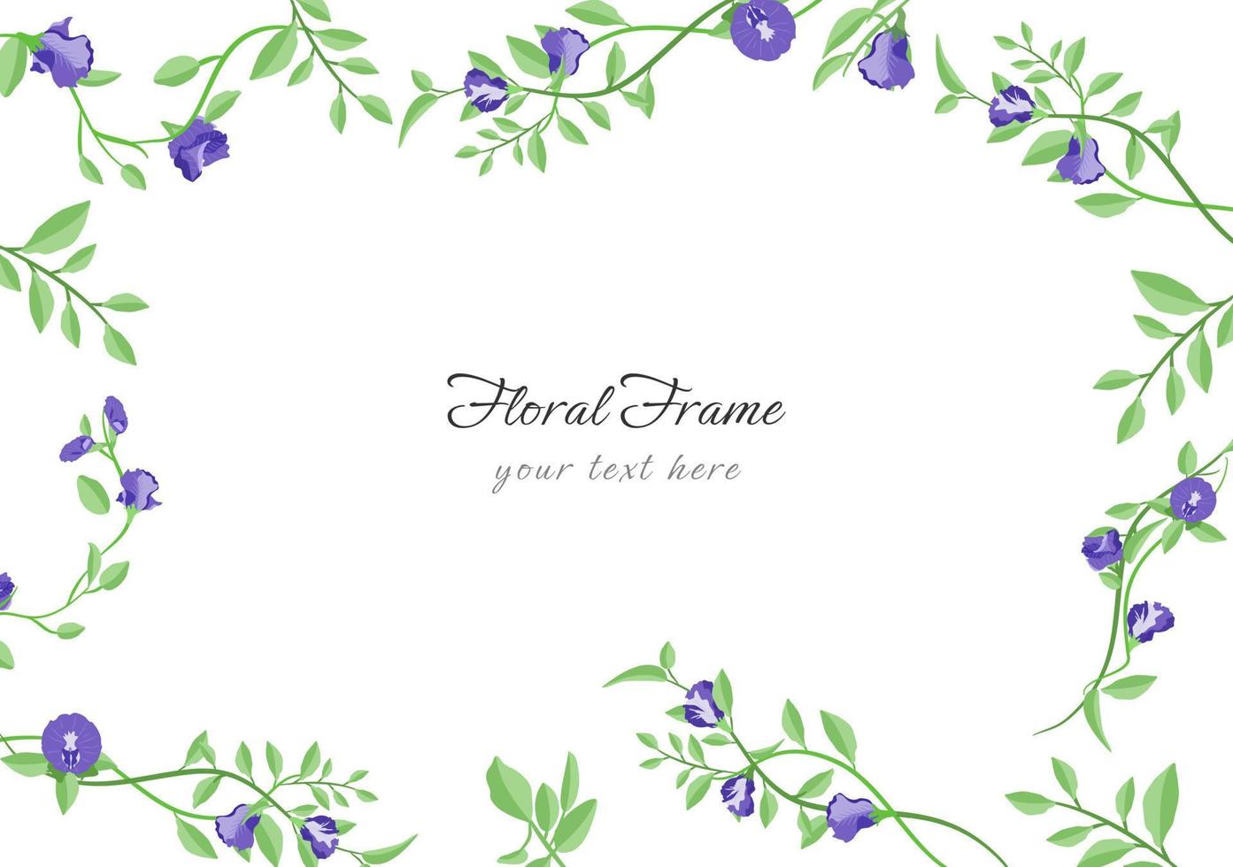 set of beautiful butterfly pea floral frame vector