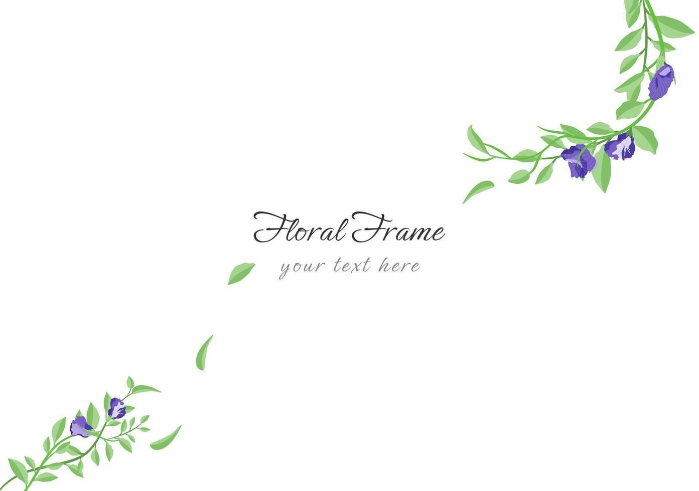 set of beautiful butterfly pea floral frame vector