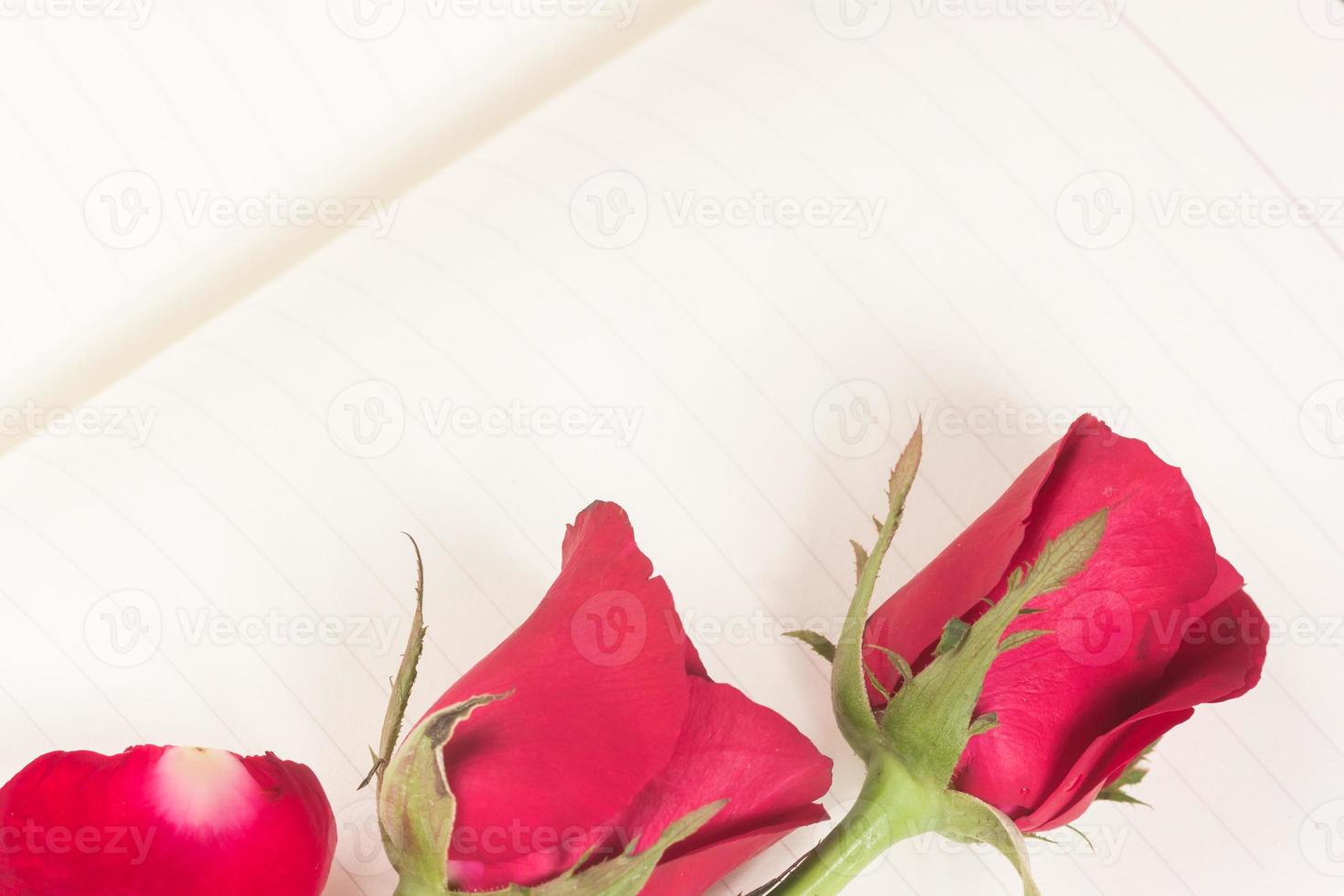 Red rose on notebook background photo