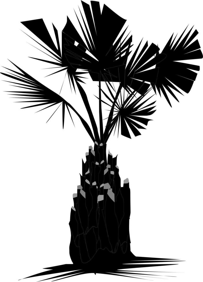 The illustrations and clipart. palm trees silhouette vector