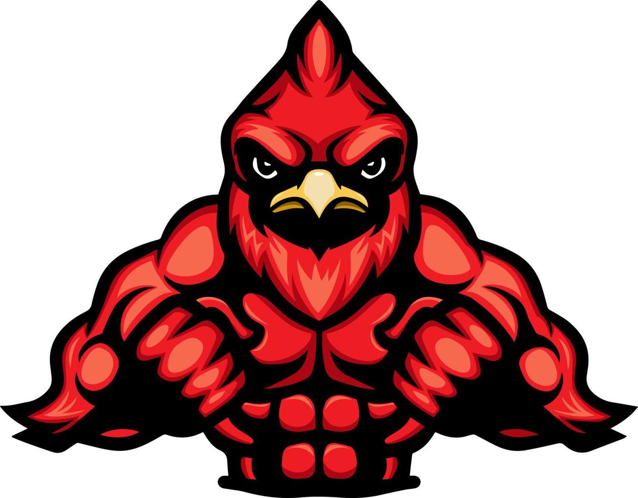 Strong cartoon red cardinal mascot vector