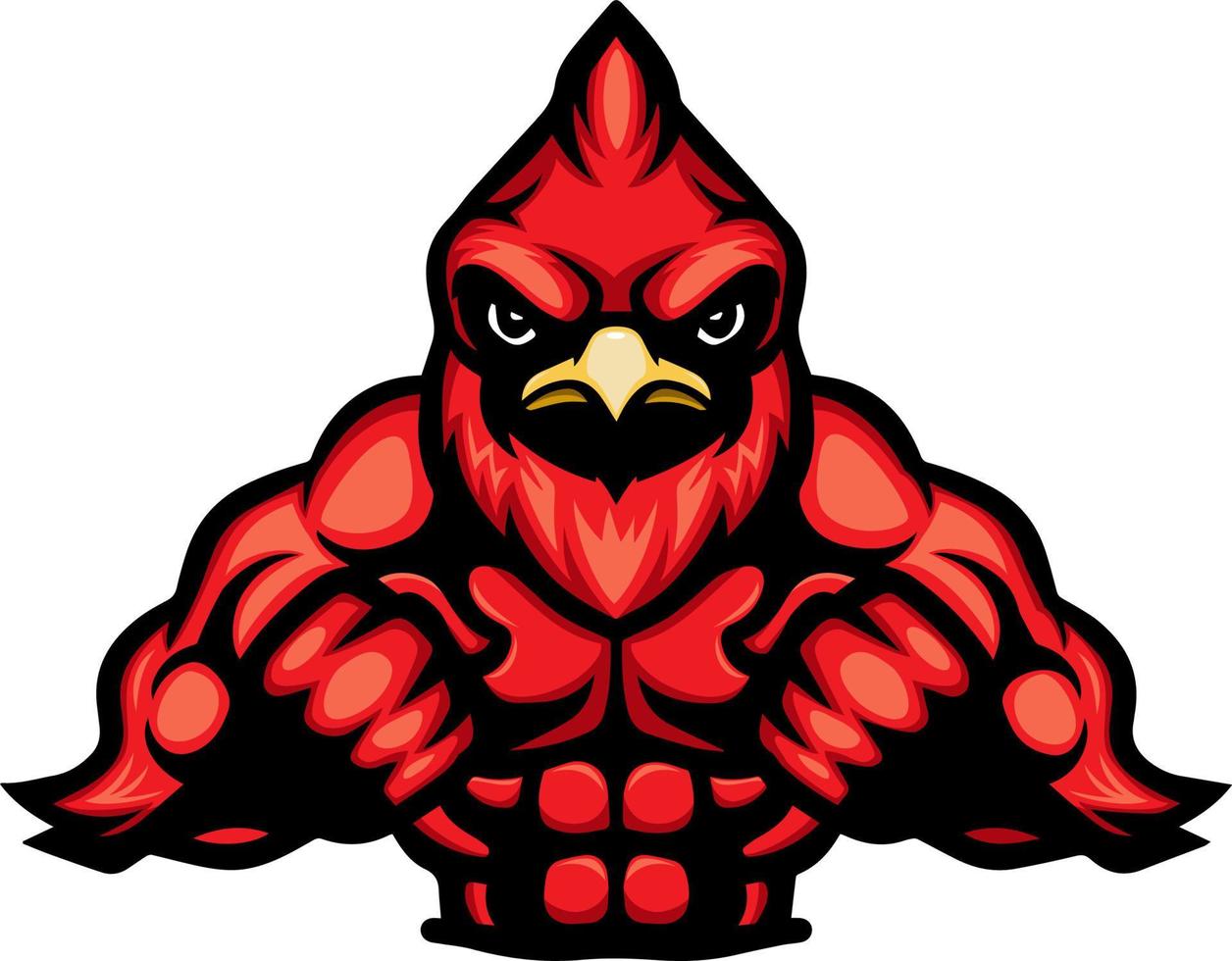 Strong cartoon red cardinal mascot vector