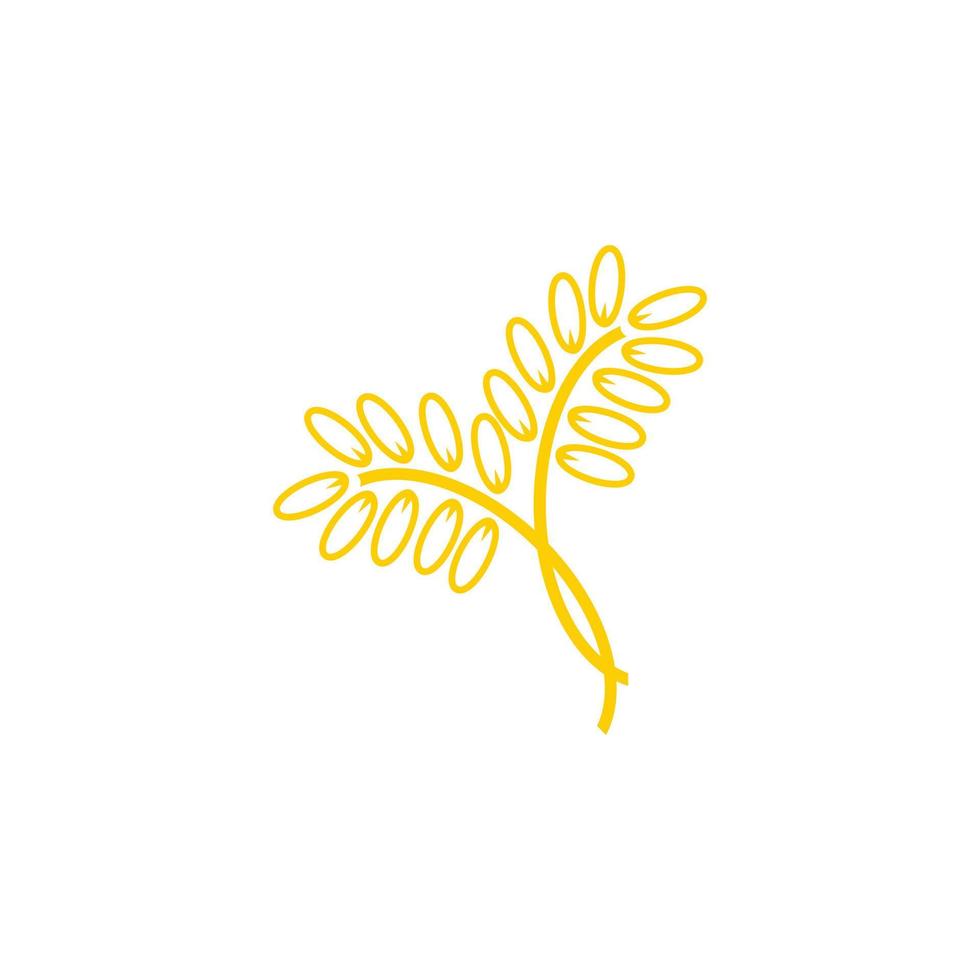 diseño de logotipo de trigo amarillo vector