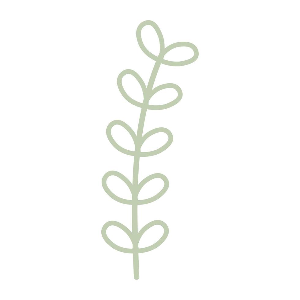 Decorative leaf plant flat. Vector illustration