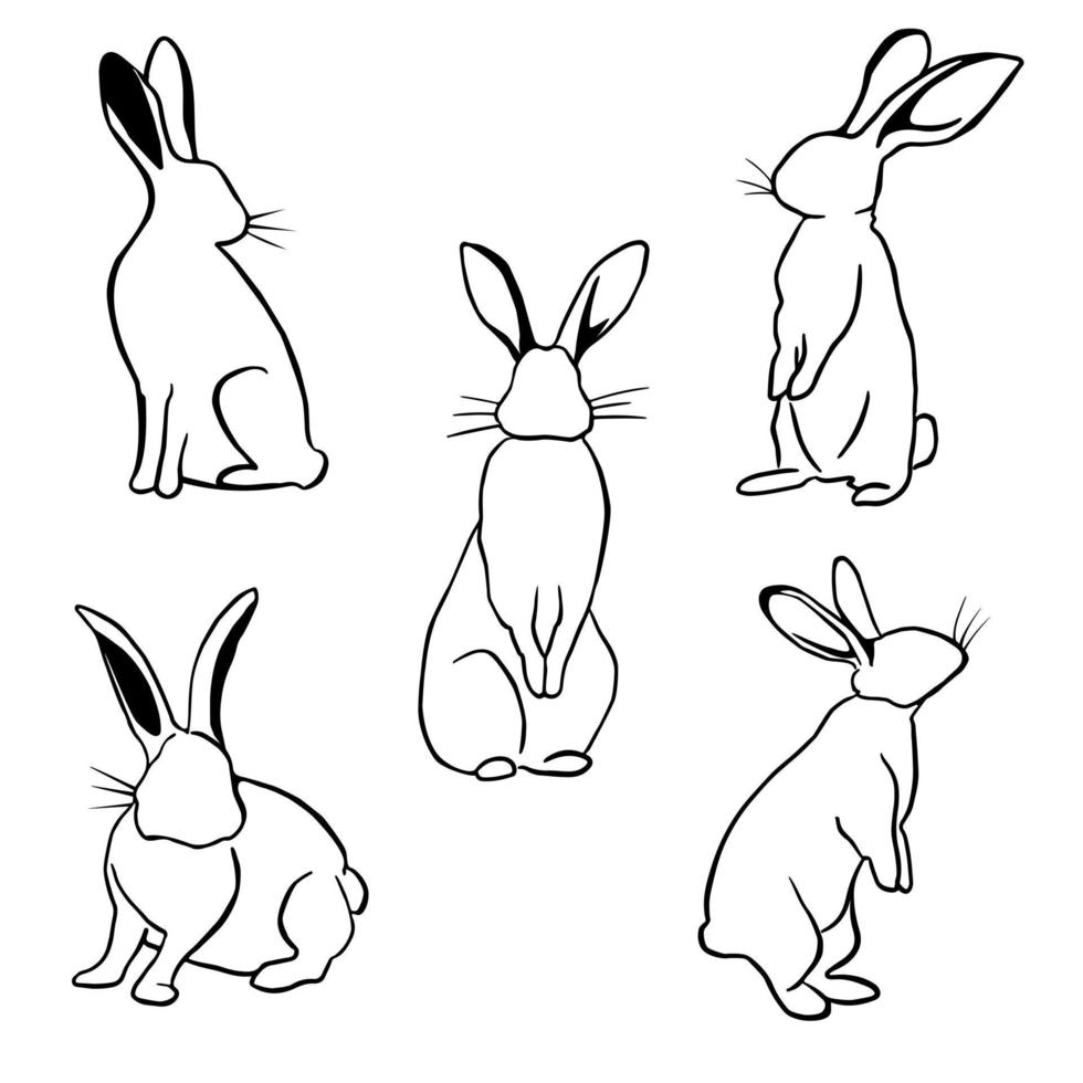 Bunny, hare outline vector set, rabbits in different position collection, monochrome, easter, line art, outline, isolated on white background