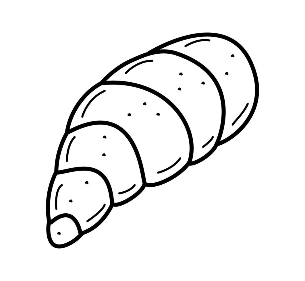 Seashell, single isolate on a white background. Vector illustration of a shell doodle sketch.